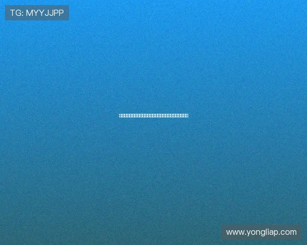 百宝来官网注册指南，快速掌握注册流程与账号安全保障措施
